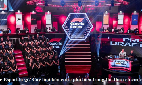 Cá cược Esports là gì? Các loại kèo cược phổ biến trong thể thao cá cược Esport