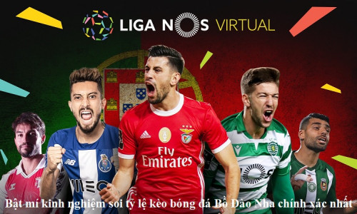 Bật mí kinh nghiệm soi tỷ lệ kèo bóng đá Bồ Đào Nha chính xác nhất