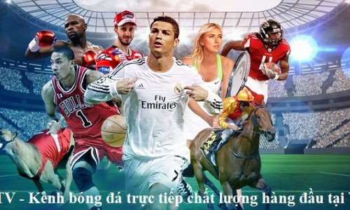 ibongda.TV – Kênh bóng đá trực tiếp chất lượng hàng đầu tại Việt Nam
